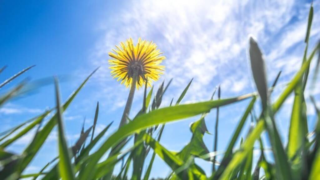 Grundstück zum Kauf 900.000 € 4.158 m² Grundstück Agriana - Insel Kreta