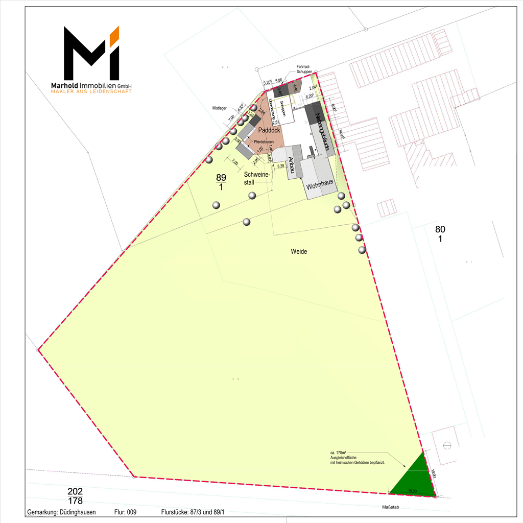 Bauernhaus zum Kauf 528.000 € 9 Zimmer 240 m²<br/>Wohnfläche 15.891 m²<br/>Grundstück Düdinghausen Steyerberg 31595