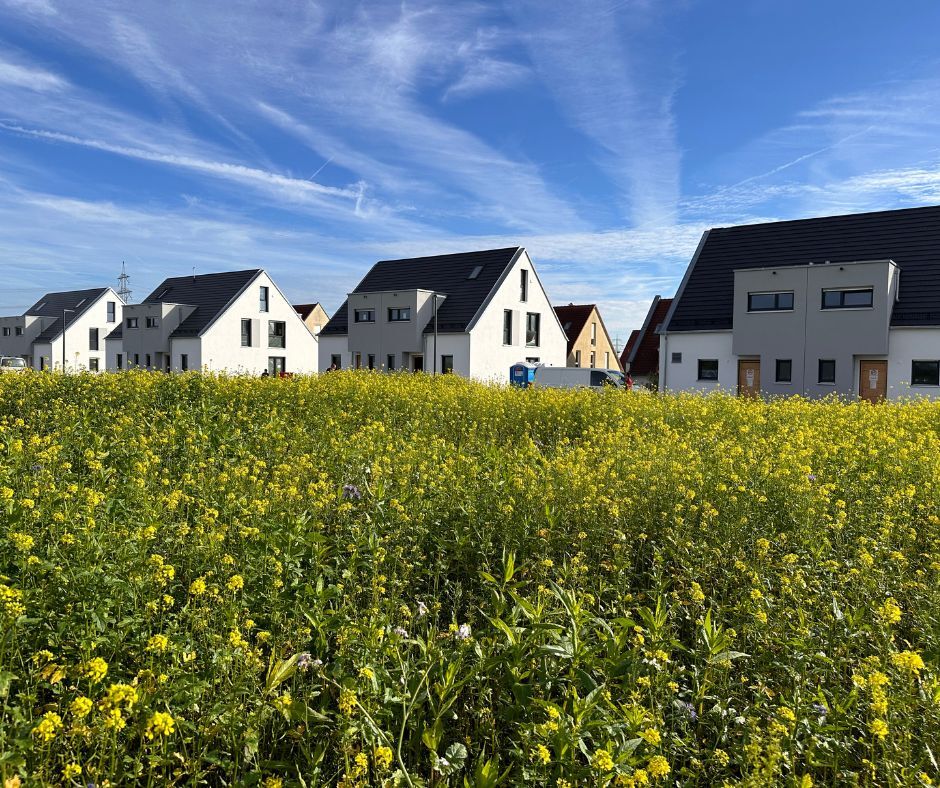 Doppelhaushälfte zum Kauf provisionsfrei 855.000 € 5 Zimmer 139 m²<br/>Wohnfläche 414 m²<br/>Grundstück Reitersbergstrasse Kosbach Erlangen 91056