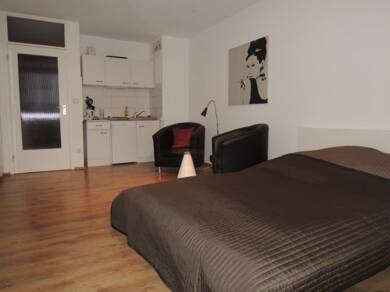 Studio zur Miete Wohnen auf Zeit 790 € 1 Zimmer 31 m² frei ab sofort Am Hohen Stein Wiesbaden 65203