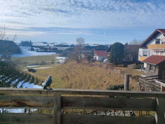 WG-Zimmer zur Miete 650 € 19 m² UG frei ab sofort Altusried 87452