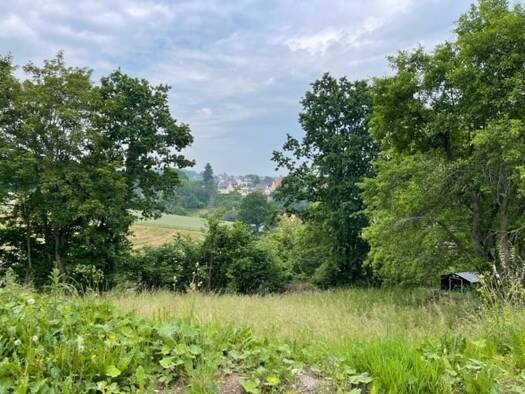 Grundstück zum Kauf 2.078 m² Grundstück Cainsdorf Zwickau 08064