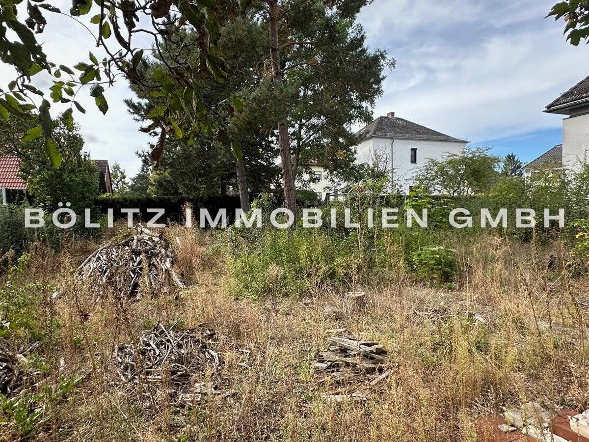 Property thumbnail 3