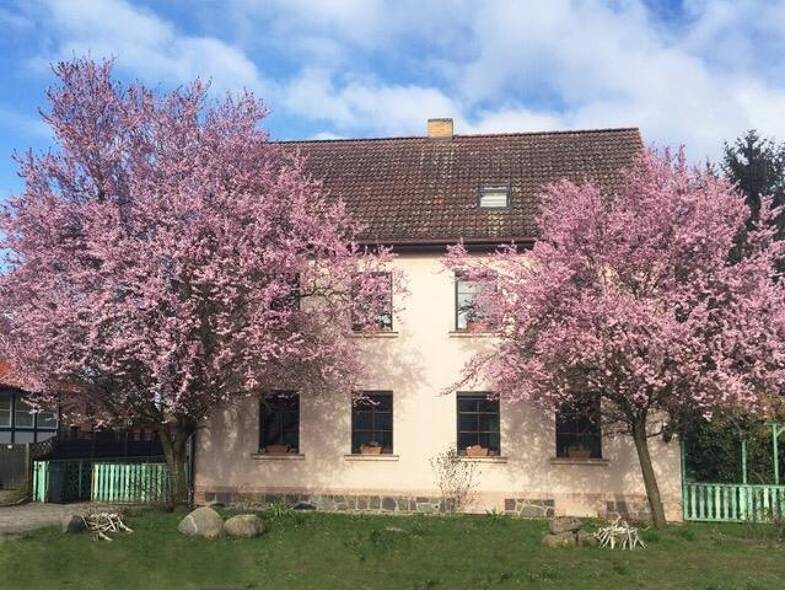 Mehrfamilienhaus zum Kauf 444.000 € 10 Zimmer 212,2 m² 2.982 m² Grundstück Groß Schönebeck Schorfheide 16244
