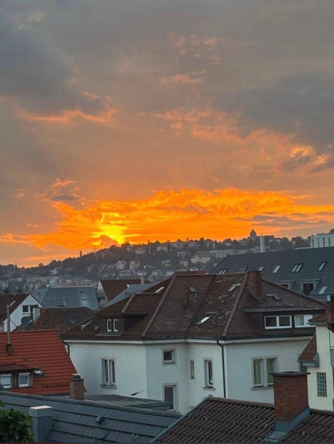 WG-Zimmer zur Miete - Ansicht 5