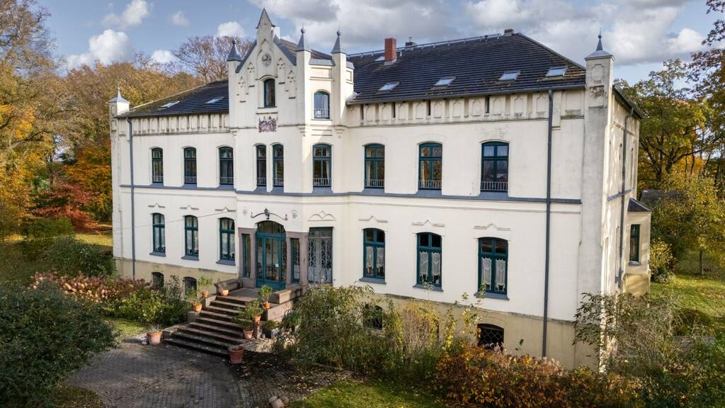 Schloss zum Kauf 1.190.000 € 24 Zimmer 719 m² 32.535 m² Grundstück Alt Vorwerk Boddin / Alt Vorwerk 17179