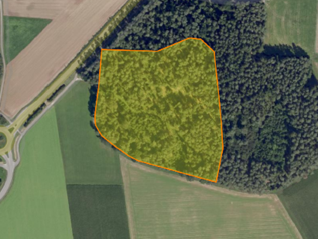 Land-/Forstwirtschaft zum Kauf 85.000 € 31.820 m² Grundstück Dürrwangen Dürrwangen 91602