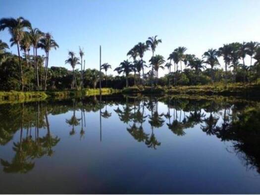 Haus zum Kauf 1.400.000 € 1 Zimmer 400 m² 2.308.000 m² Grundstück Januária 39480-000