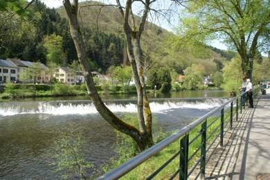 Haus zum Kauf 1.399.000 € 12 Zimmer 360 m² 14.544 m² Grundstück Ammeldingen an der Our 54675