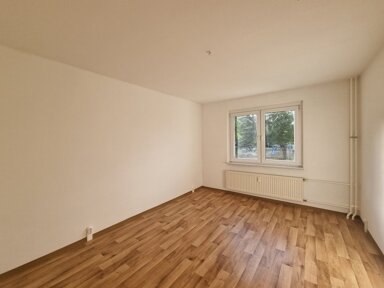 Wohnung zur Miete 379 € 2 Zimmer 50,5 m² frei ab sofort Am Volkskulturpark 13 Pasewalk Pasewalk 17309