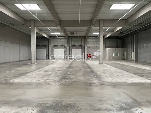Lagerhalle zur Miete 5.800 m² Lagerfläche Reisholz Düsseldorf 40599