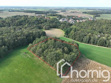 Land-/Forstwirtschaft zum Kauf 4.900 € 4.348 m² Grundstück Drehsa Weißenberg / Drehsa 02627