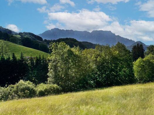 Grundstück zum Kauf 659.000 € 1.117 m² Grundstück Hallein 5422