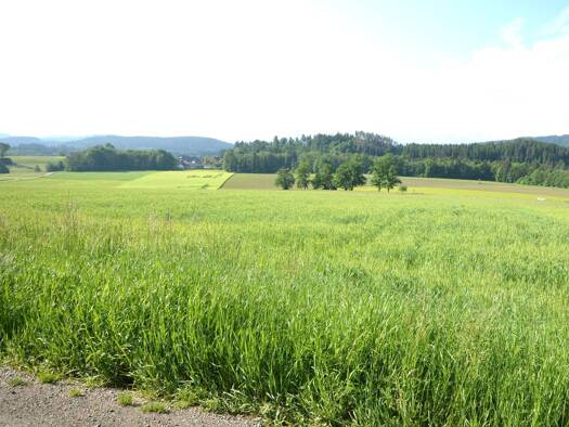 Grundstück zum Kauf 980 m² Grundstück Feldkirchen in Kärnten 9560