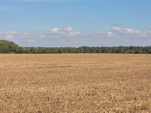 Land-/Forstwirtschaft zum Kauf 1.800.000 € 650.000 m² Grundstück Brückfeld Magdeburg 39114