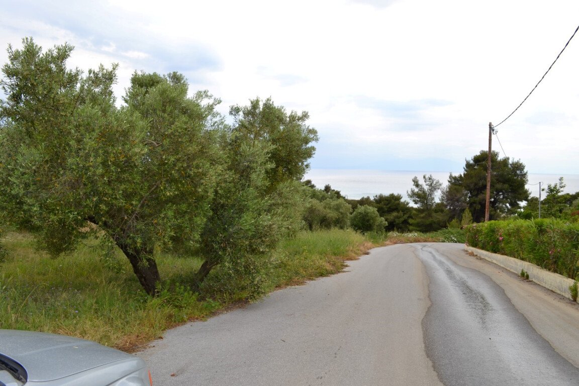 Land-/Forstwirtschaft zum Kauf 300.000 € 6.012 m²<br/>Grundstück Chalkidiki