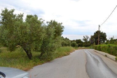 Land-/Forstwirtschaft zum Kauf 300.000 € 6.012 m² Grundstück Chalkidiki