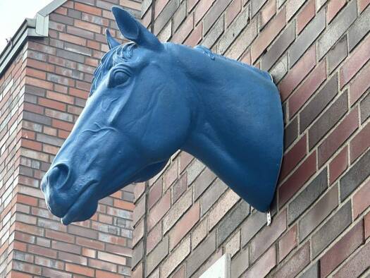 Wohnung zur Miete 519 € 2,5 Zimmer 45,5 m² frei ab 01.05.2026 Dülmen 48249