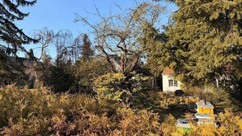 Grundstück zum Kauf provisionsfrei 199.990 € 606 m² Grundstück Neu Lindenberg Ahrensfelde b Berlin 16356