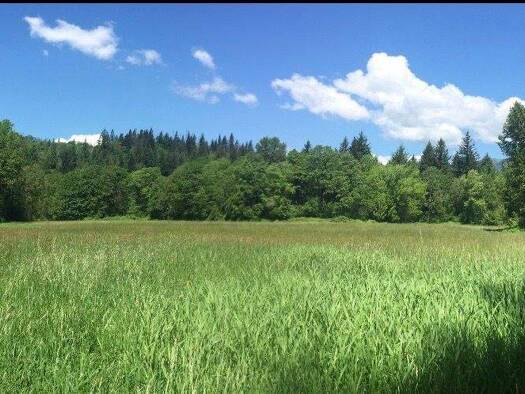 Grundstück zum Kauf 340.000 € 1.500 m² Grundstück Baugenehmigung vorhanden Halver 58553