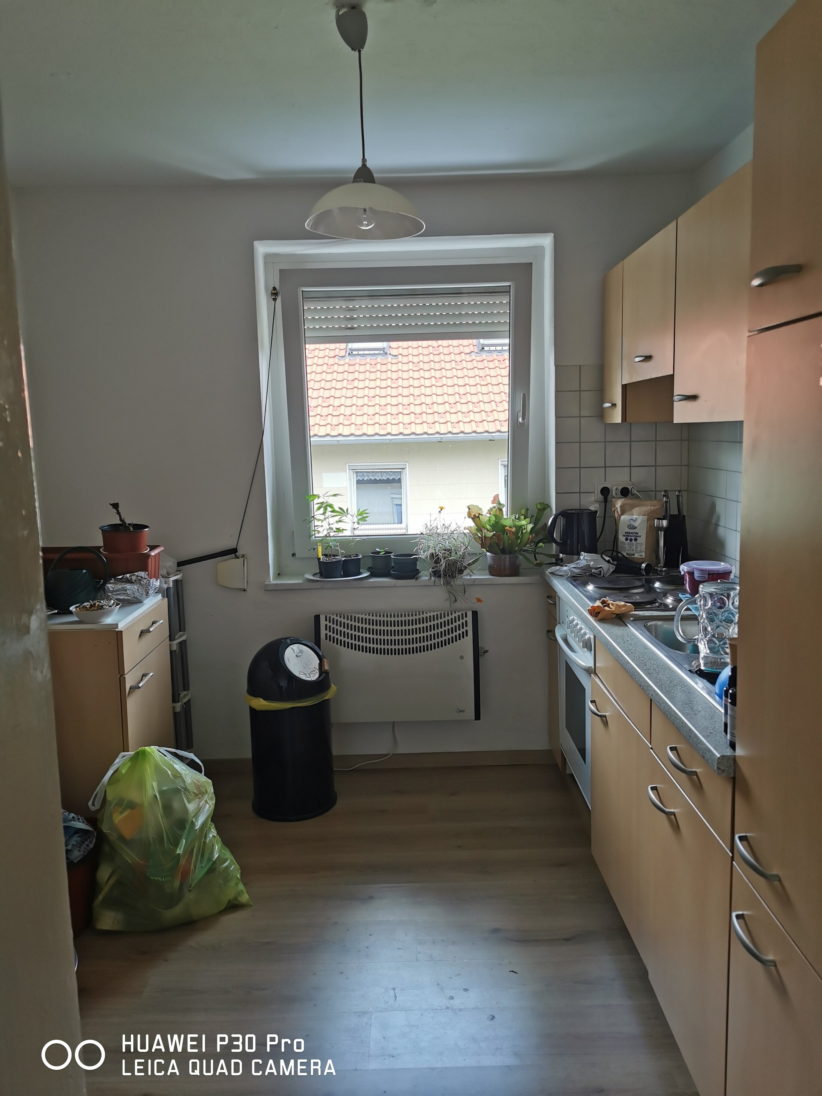 Wohnung zur Miete 285 € 2 Zimmer 46,8 m²<br/>Wohnfläche ab sofort<br/>Verfügbarkeit Rammelsberger Straße 5 Schönberg Schönberg 94513