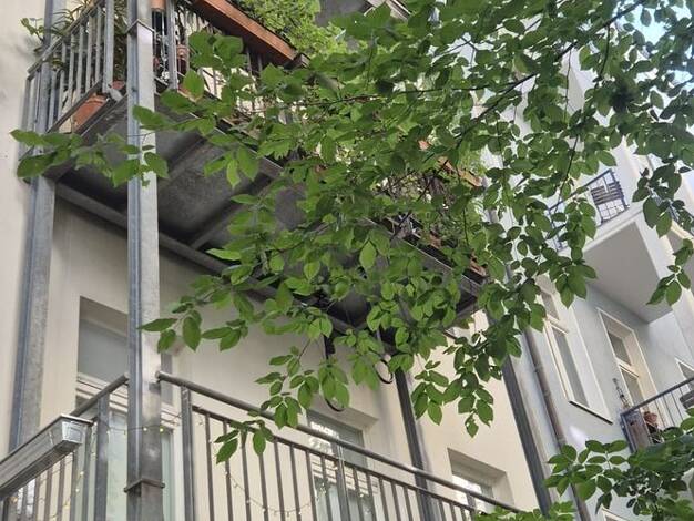 Wohnung zum Kauf 339.000 € 2 Zimmer 55 m² 5. Geschoss Kreuzberg Friedrichshain-Kreuzberg 10961