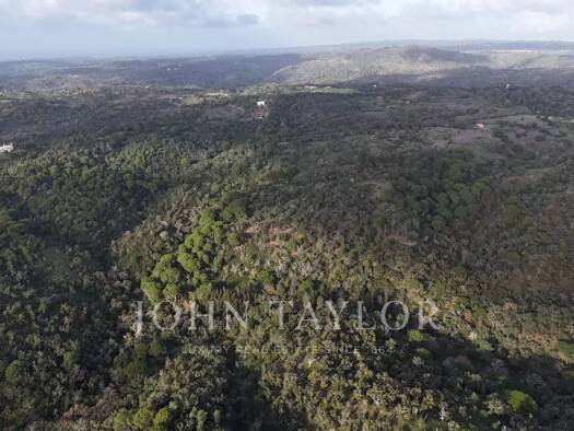 Grundstück zum Kauf 1.190.000 € 179.250 m² Grundstück São Francisco da Serra 7540-515