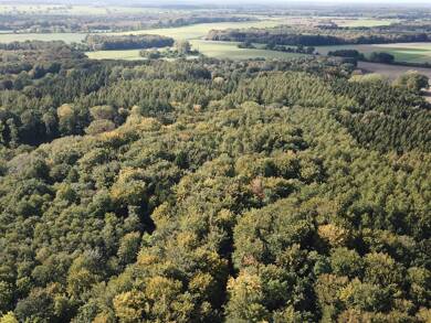 Forstwirtschaft zum Kauf 695.000 € 419.886 m² 419.886 m² Grundstück Schaddingsdorf Holdorf 19217
