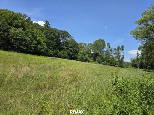 Land-/Forstwirtschaft zum Kauf 19.500 € 6.785 m² Grundstück Neuberg im Burgenland 7537