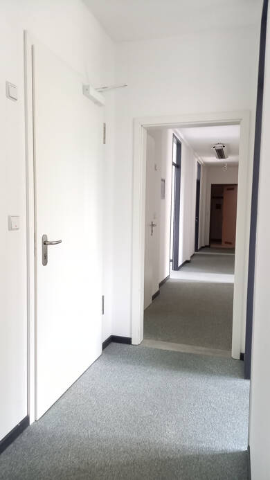 Bürofläche zur Miete 8 € 9 Zimmer 178 m² Bürofläche Alter Steinweg 5 Innenstadt Zwickau 08056