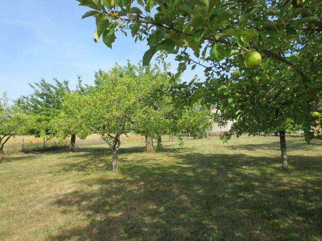 Bauernhaus zum Kauf 350.000 € 7 Zimmer 150 m² 21.000 m² Grundstück Klein Loitz Felixsee 03130