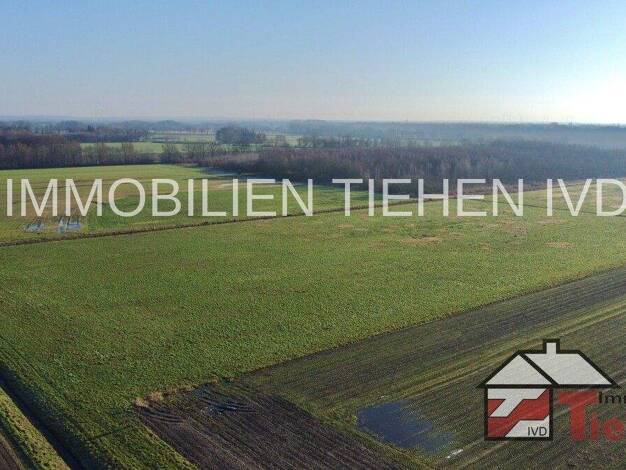 Land-/Forstwirtschaft zum Kauf 175.000 € 24.932 m² Grundstück Dohren 49770