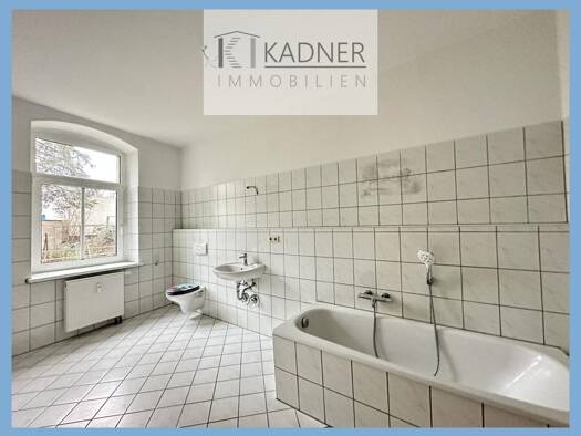 Mehrfamilienhaus zum Kauf 235.000 € 11 Zimmer 281 m² 310 m² Grundstück Haselbrunn Plauen 08525
