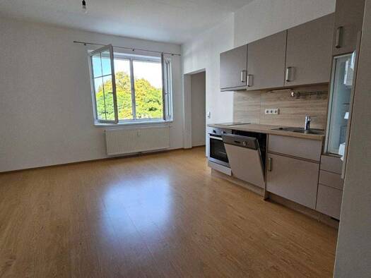 Wohnung zur Miete 320 € 2 Zimmer 48 m² EG Leopold Werndlstraße 25a Sarning Steyr 4400