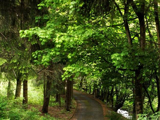 Wohnung zur Miete auf Zeit 600 € 2 Zimmer 50 m² frei ab 01.06.2026 Altenau 38707