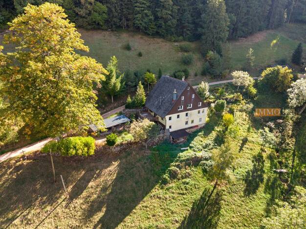 Bauernhaus zum Kauf 299.000 € 9 Zimmer 233 m² 25.988 m² Grundstück Gütenbach 78148