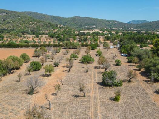 Grundstück zum Kauf provisionsfrei 500.000 € 17.306,5 m² Grundstück Campanet 07310