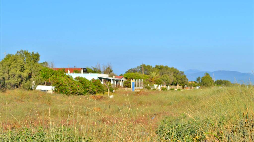 Land-/Forstwirtschaft zum Kauf 180.000 € 1.300 m² Grundstück Westpeloponnes