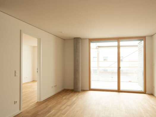 Wohnung zum Kauf provisionsfrei als Kapitalanlage geeignet 442.000 € 2 Zimmer 68,9 m² Wolfenweiler Schallstadt 79227