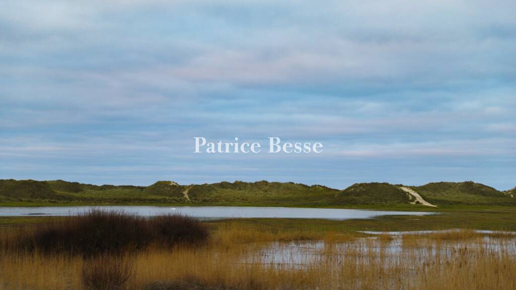 Haus zum Kauf 780.000 € 5 Zimmer 220 m² 10.000 m² Grundstück Penmarc H-Kerity Penmarch 29760