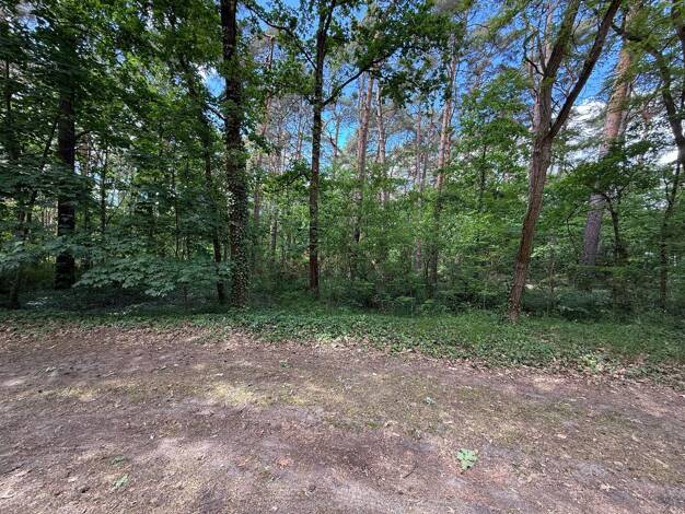 Immobilie zum Kauf 85.000 € 2.869 m² Grundstück Bad Saarow-Pieskow Bad Saarow 15526