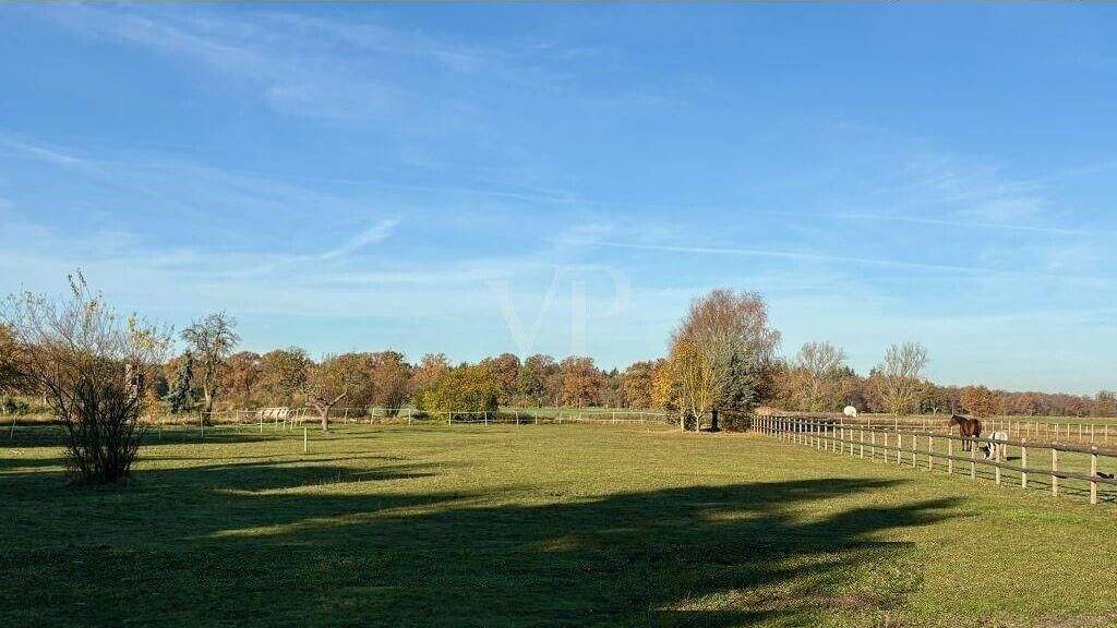 Einfamilienhaus zum Kauf 199.000 € 4 Zimmer 107 m² 3.260 m² Grundstück Paulinenaue 14641