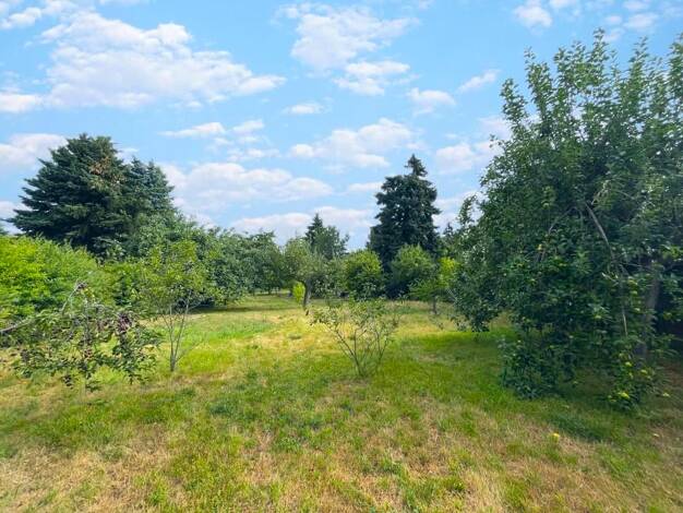 Sonstiges zum Kauf 350.000 € 1.298 m² Grundstück Knautkleeberg-Knauthain Leipzig 04249