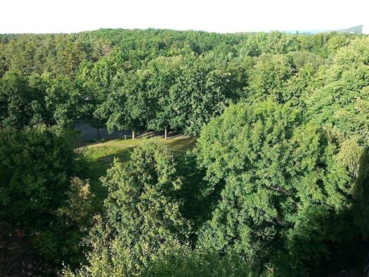 Wohnung zur Miete 1.100 € 4 Zimmer 95 m² frei ab sofort Alterlangen Erlangen 91056