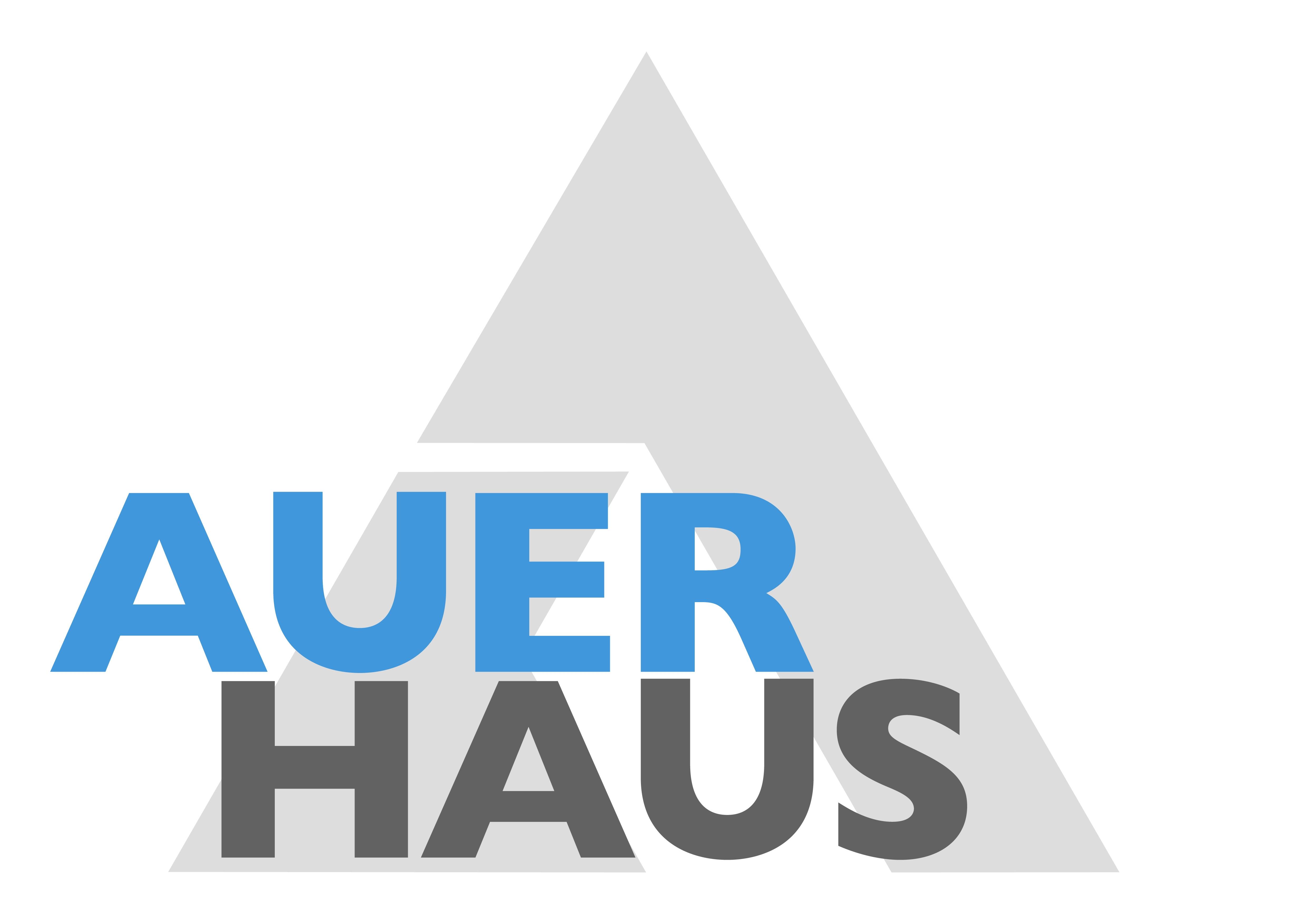 Auer Immobilienverwaltungs GmbH & Co. KG