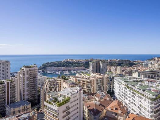 Studio zum Kauf provisionsfrei 5.800.000 € 3 Zimmer 95 m² 17. Geschoss Centre Monaco 98000