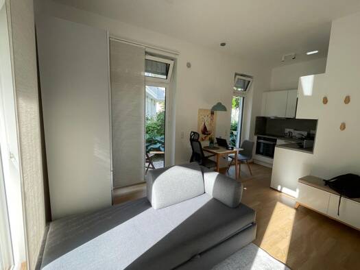 Studio zur Miete 1.485 € 1 Zimmer 25 m² Geschoss EG/3 frei ab 01.04.2026 Maxvorstadt München 80333