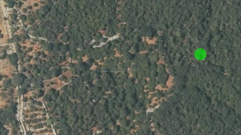 Land-/Forstwirtschaft zum Kauf 17.000 € Mali Losinj