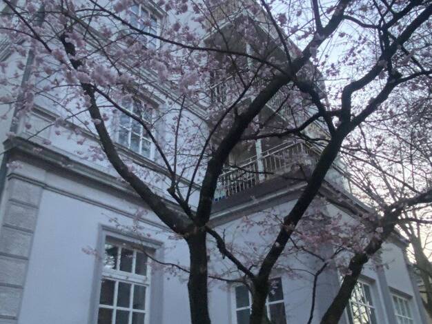 Wohnung zur Miete 2.390 € 3,5 Zimmer 80 m² EG frei ab 01.10.2026 Wiesenstraße 47 Eimsbüttel Hamburg 20255