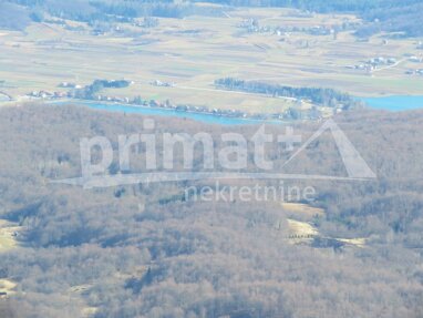 Land-/Forstwirtschaft zum Kauf 30.000 € Ogulin center